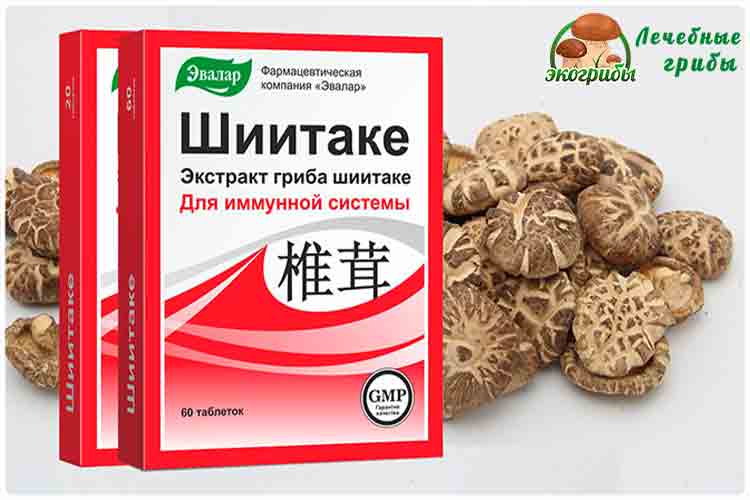 шиитаке купить